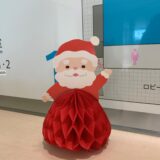 12月のはなもも