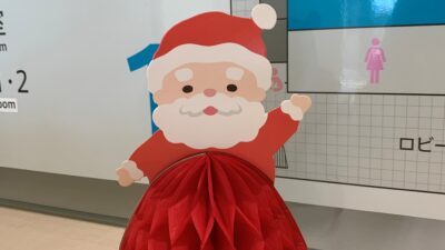 12月のはなもも