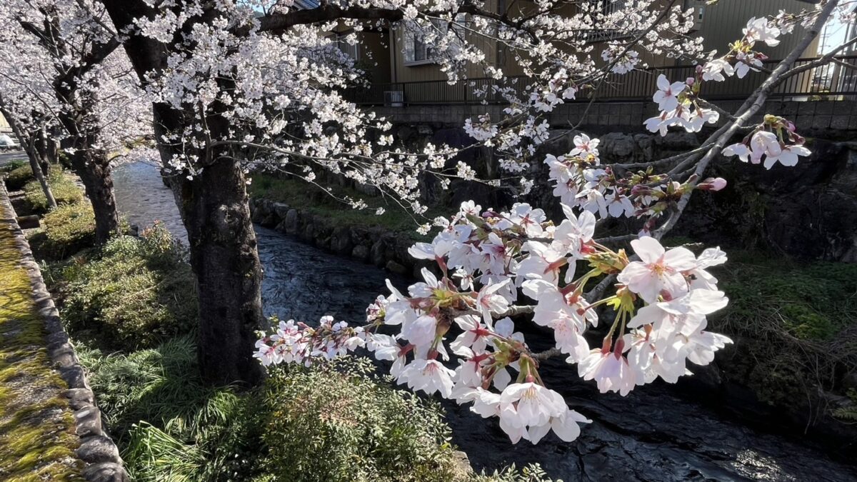 臨時休館のお知らせ