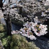 臨時休館のお知らせ