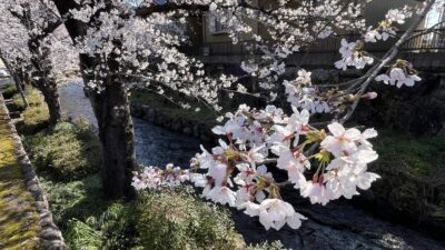 臨時休館のお知らせ